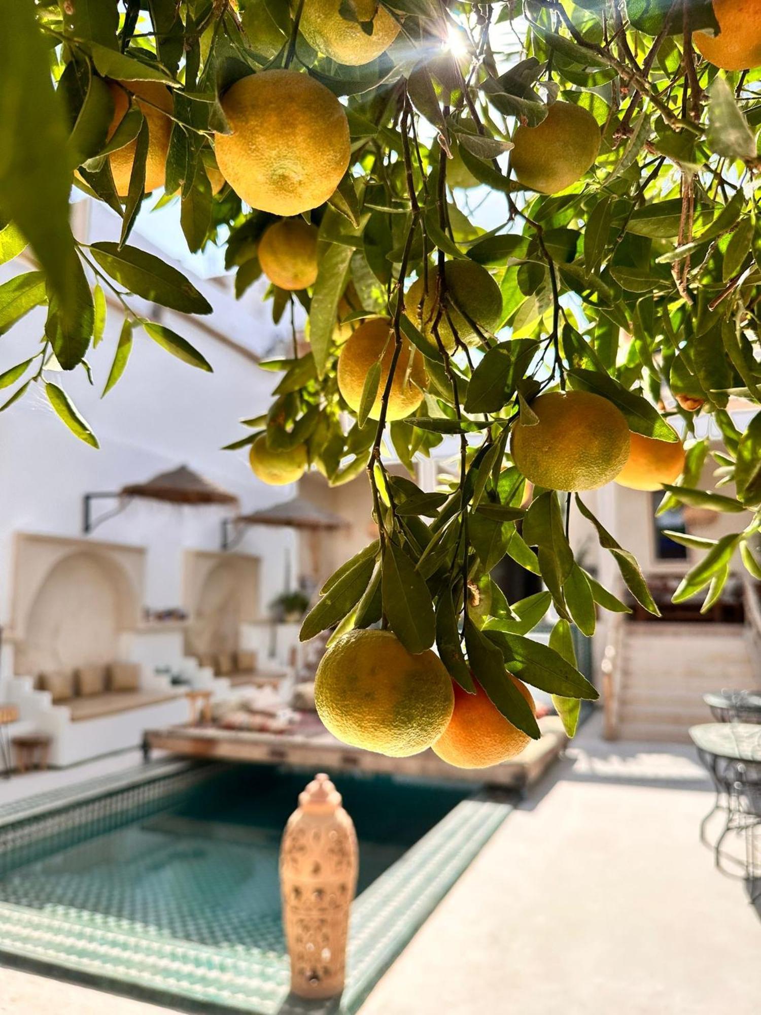 Bed and Breakfast Dar Salam Souss Taroudant Exterior foto